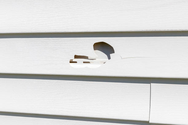 Best Siding Painting and Refinishing  in Stryker, OH